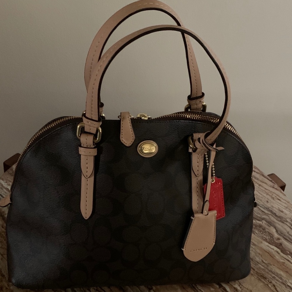 Coach Dome Purse